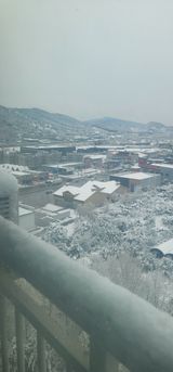 팜모닝 자유주제·자유게시판 게시글 이미지