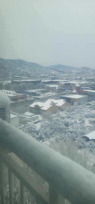 조애연님의 자유주제 · 자유게시판 작성글 사진