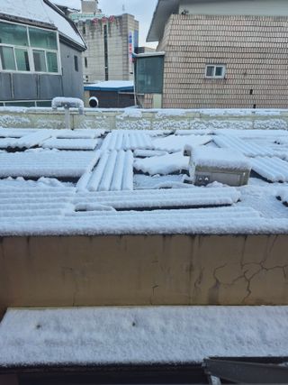 허굴산농장님의 자유주제 · 자유게시판 작성글 사진