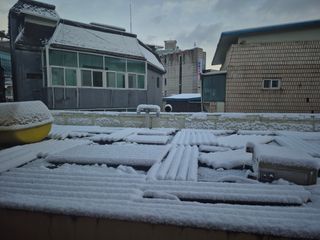허굴산농장님의 자유주제 · 자유게시판 작성글 사진
