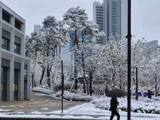 허굴산농장님의 자유주제 · 자유게시판 작성글 사진