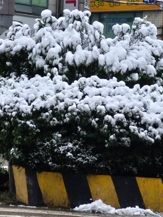허굴산농장님의 자유주제 · 자유게시판 작성글 사진