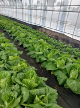 팜모닝 농한기 휴식 계획 공유하기·참여글 게시글 이미지