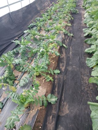 정용준님의 농한기 휴식 계획 공유하기 · 참여글 작성글 사진