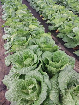 정용준님의 농한기 휴식 계획 공유하기 · 참여글 작성글 사진