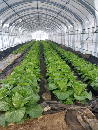 정용준님의 농한기 휴식 계획 공유하기 · 참여글 작성글 사진