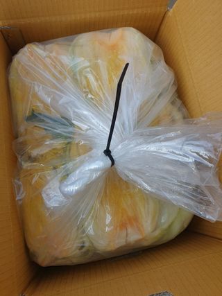 안비님의 배추 · 수확 작성글 사진