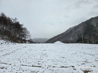 황둔얼렁뚱땅체리농부님의 자유주제 · 자유게시판 작성글 사진