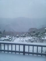 팜모닝 자유주제·자유게시판 게시글 이미지