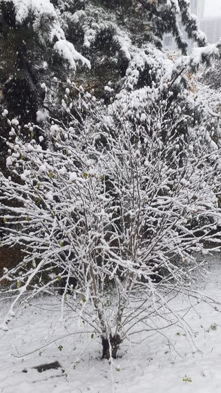 초보텃밭님의 자유주제 · 자유게시판 작성글 사진