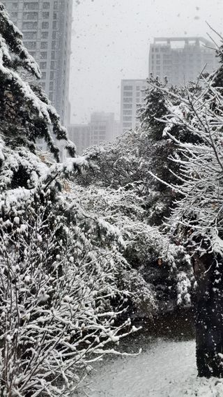 초보텃밭님의 자유주제 · 자유게시판 작성글 사진