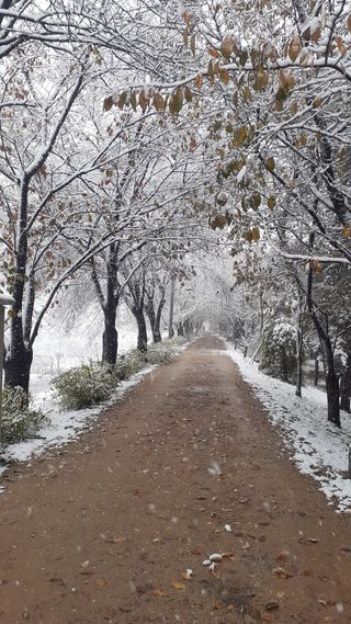 초보텃밭님의 자유주제 · 자유게시판 작성글 사진