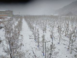 알 수 없음님의 자유주제 · 자유게시판 작성글 사진