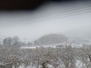 알 수 없음님의 자유주제 · 자유게시판 작성글 사진