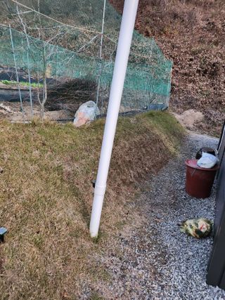 김응진님의 기타작물 · 영농일지 작성글 사진