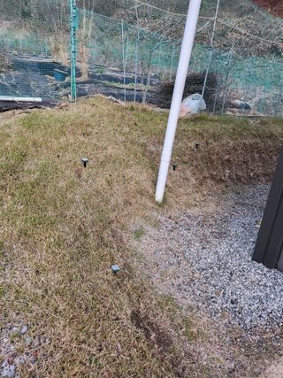 김응진님의 기타작물 · 영농일지 작성글 사진