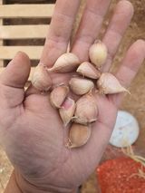 팜모닝 · 게시글 이미지