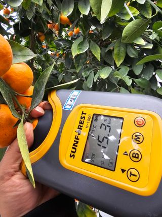 복희네농장(달콤향)님의 자유주제 · 자유게시판 작성글 사진