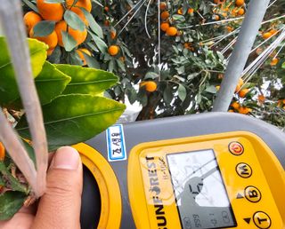 복희네농장(달콤향)님의 자유주제 · 자유게시판 작성글 사진