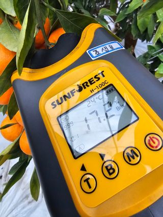 복희네농장(달콤향)님의 자유주제 · 자유게시판 작성글 사진