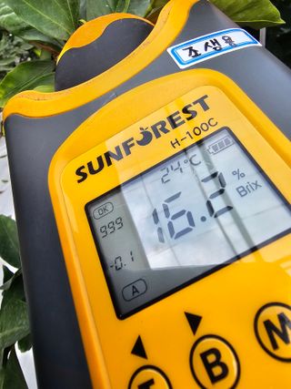 복희네농장(달콤향)님의 자유주제 · 자유게시판 작성글 사진