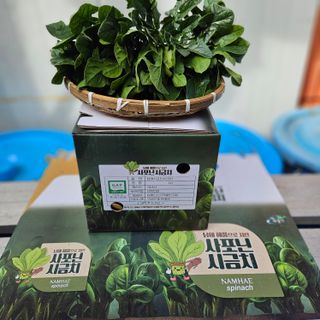 강옥만님의 작성글 사진