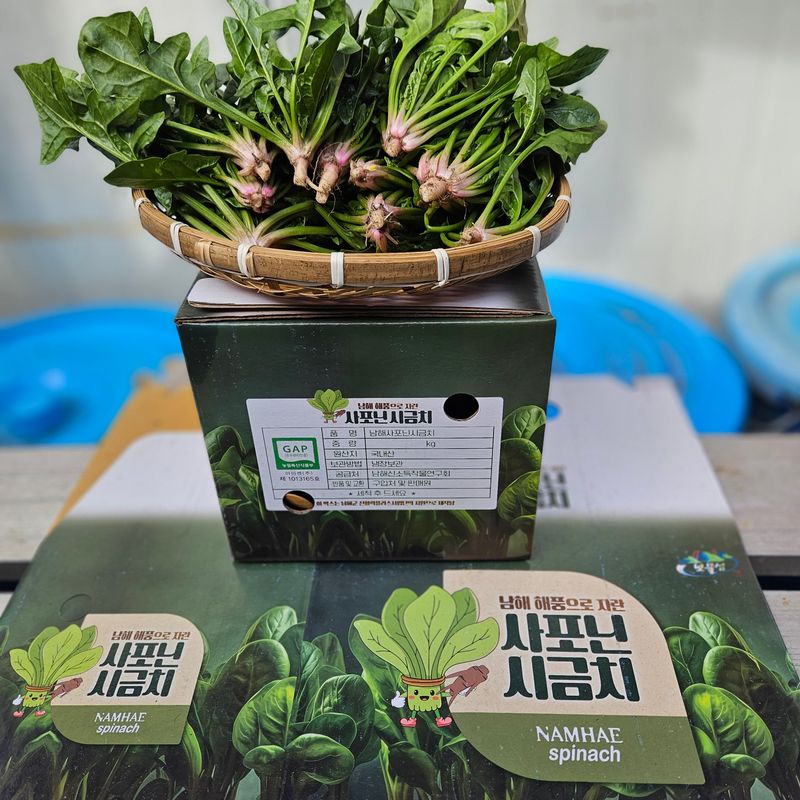 강옥만님의 장터 판매 상품 [사포닌성분 노지 시금치 1kg] 첨부 사진