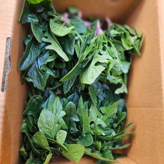 강옥만님의 작성글 사진