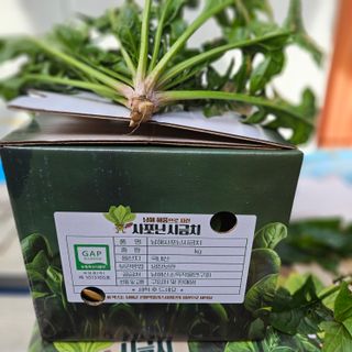 강옥만님의 작성글 사진