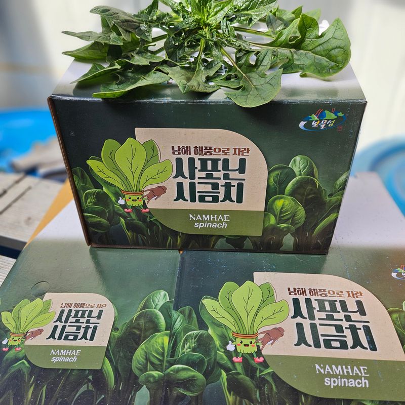 강옥만님의 장터 판매 상품 [사포닌성분 노지 시금치 1kg] 첨부 사진