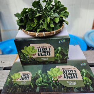 강옥만님의 작성글 사진