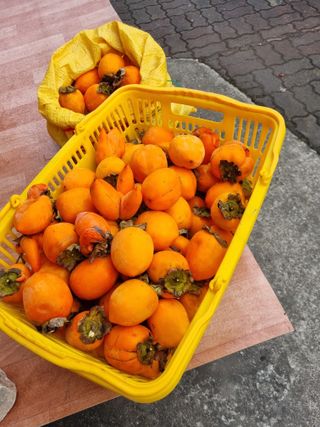 김용대님의 자유주제 · 자유게시판 작성글 사진