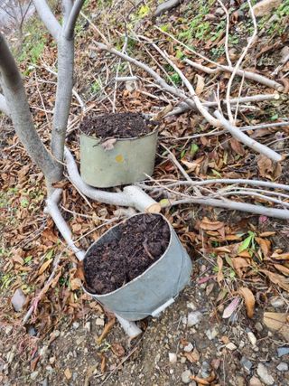 김용대님의 자유주제 · 자유게시판 작성글 사진