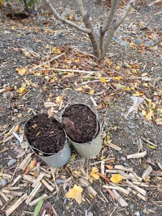 김용대님의 자유주제 · 자유게시판 작성글 사진