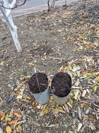 김용대님의 자유주제 · 자유게시판 작성글 사진