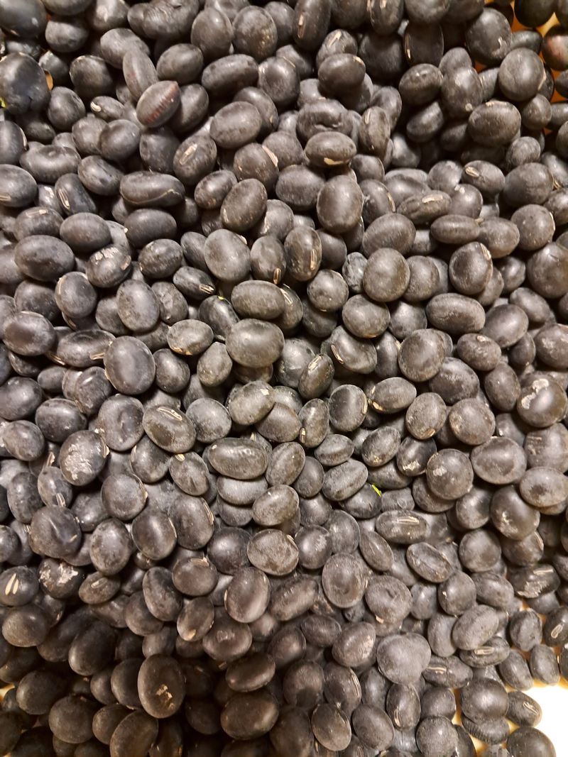 장터 상품 [토종 서리태 판매] 썸네일