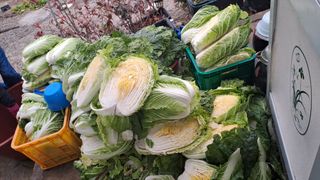 서은숙님의 기타작물 · 영농일지 작성글 사진