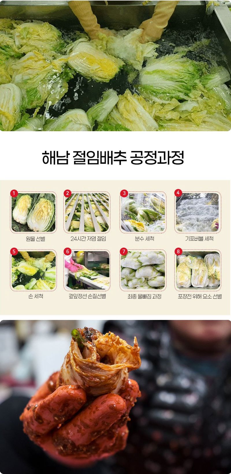 초록미소 금호농장님의 장터 판매 상품 [  [품절] 해남 절임배추 90일 재배 24시간 신안 천일염 저염 절인배추 20kg] 첨부 사진