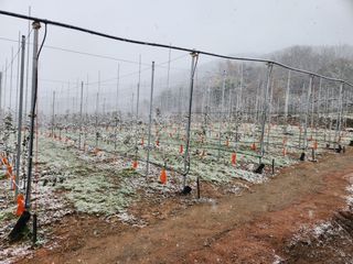 호계농원님의 농한기 휴식 계획 공유하기 · 참여글 작성글 사진