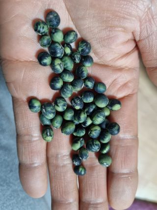 김동희님의 자유주제 · 자유게시판 작성글 사진