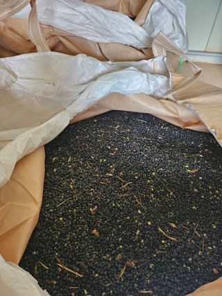 이기환님의 작성글 사진