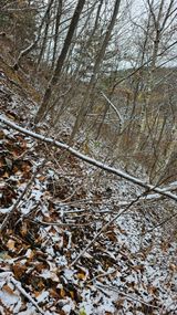 팜모닝 자유주제·자유게시판 게시글 이미지