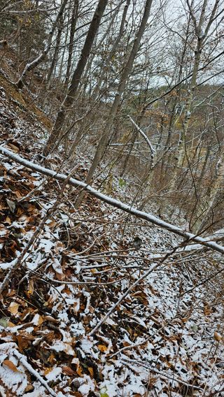 장철식님의 자유주제 · 자유게시판 작성글 사진