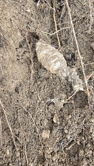 장철식님의 자유주제 · 자유게시판 작성글 사진