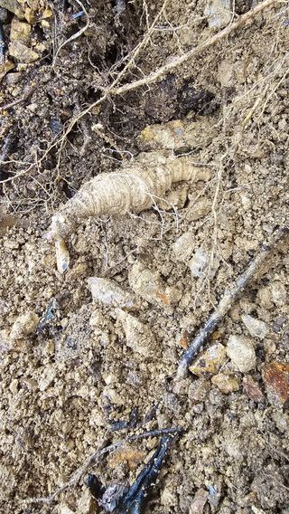 장철식님의 자유주제 · 자유게시판 작성글 사진