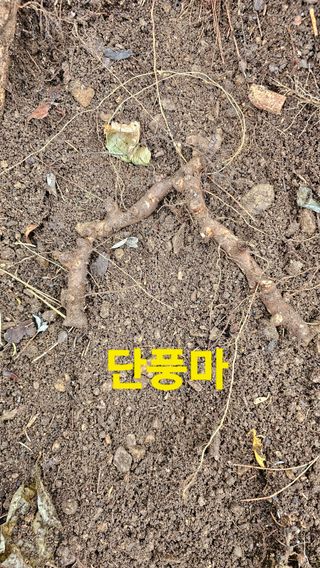 장철식님의 자유주제 · 자유게시판 작성글 사진