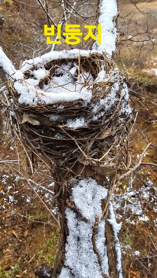 장철식님의 자유주제 · 자유게시판 작성글 사진