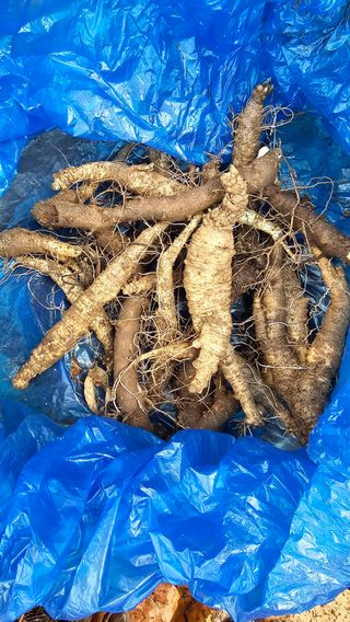 장철식님의 자유주제 · 자유게시판 작성글 사진