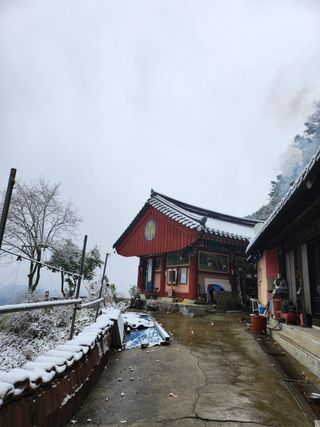 MSG0074님의 자유주제 · 자유게시판 작성글 사진