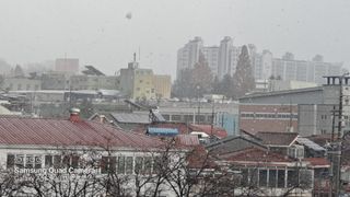 MSG0074님의 자유주제 · 자유게시판 작성글 사진